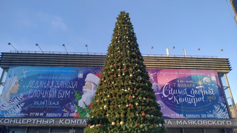 У кинотеатра Маяковского установили новогоднюю елку