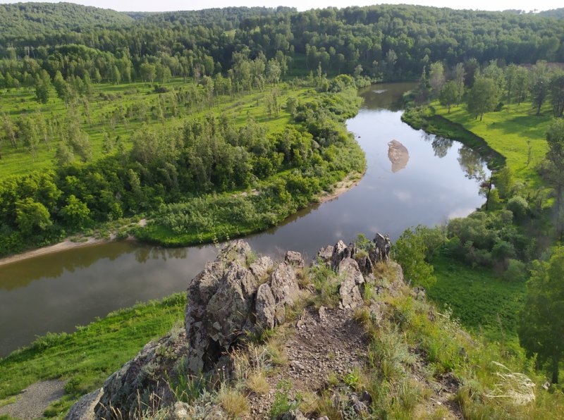 Салаирский заказник фото