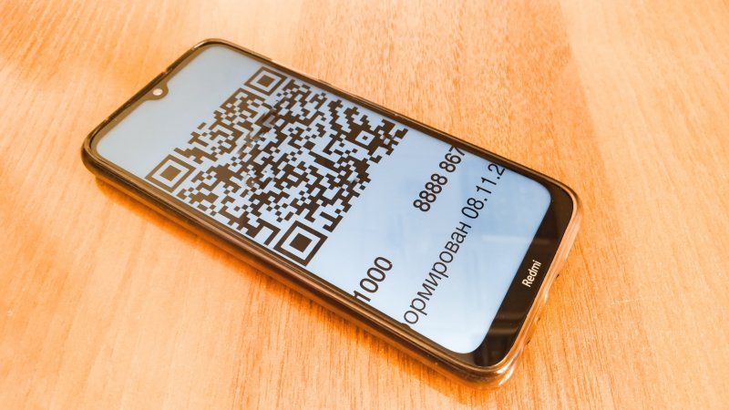 Пенсионеров без QR-кодов лишают льгот в России