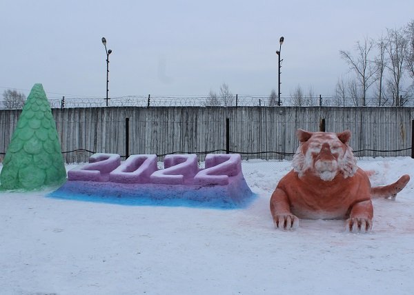 Тигров завели в новосибирских колониях в преддверии Нового года
