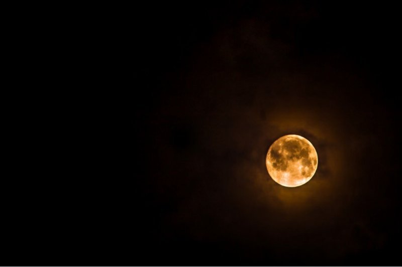 Волчье Полнолуние в январе 2022 года: как пережить Суровую луну