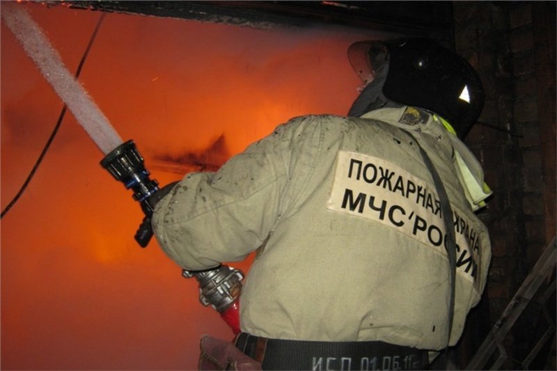 Женщина и два маленьких ребенка погибли в пожаре в Мошковском районе