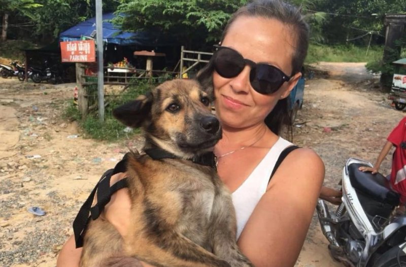 «Нурлик по нам скучает»: собаку из Камбоджи пытаются вывезти в Россию через Новосибирск