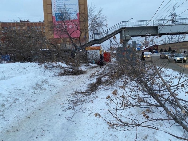 В Новосибирске возле скандальной точечной застройки на Владимировской вырубили деревья