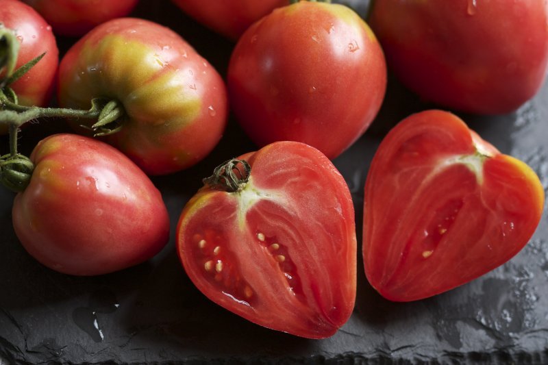 Как вырастить томат 