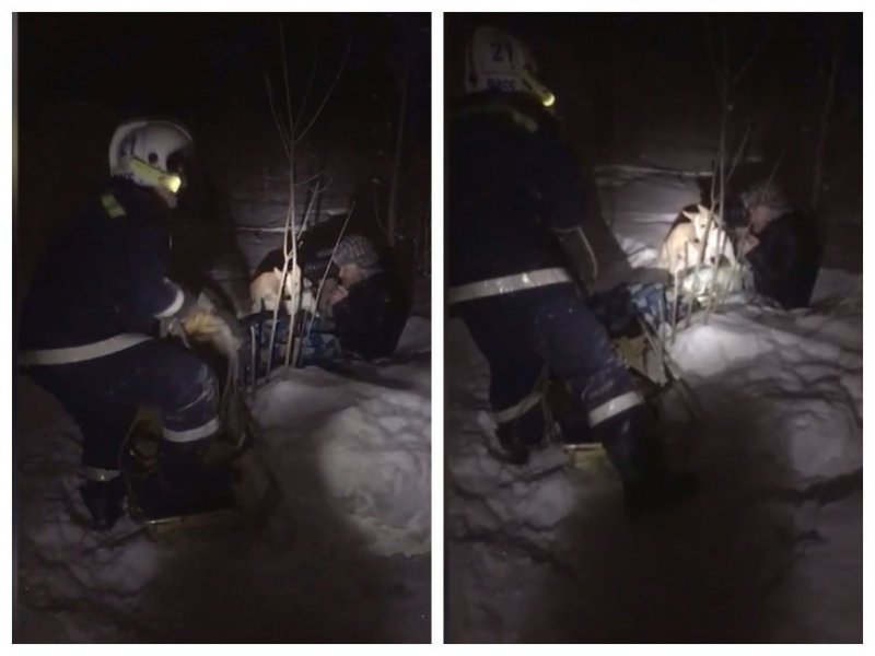 В Новосибирске нетрезвый мужчина выгулял собаку до обморожения