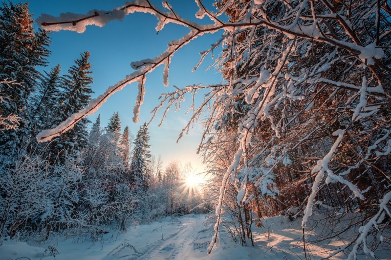 Народные приметы в феврале: каких сюрпризов ждать в последний зимний месяц