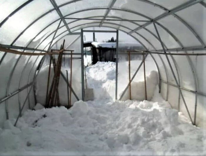 Пока еще не поздно нужно накидать снег в теплицу - рассказываем, зачем