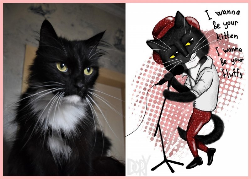 Дамиано Давид не оценил: художница нарисовала кота в виде солиста Måneskin