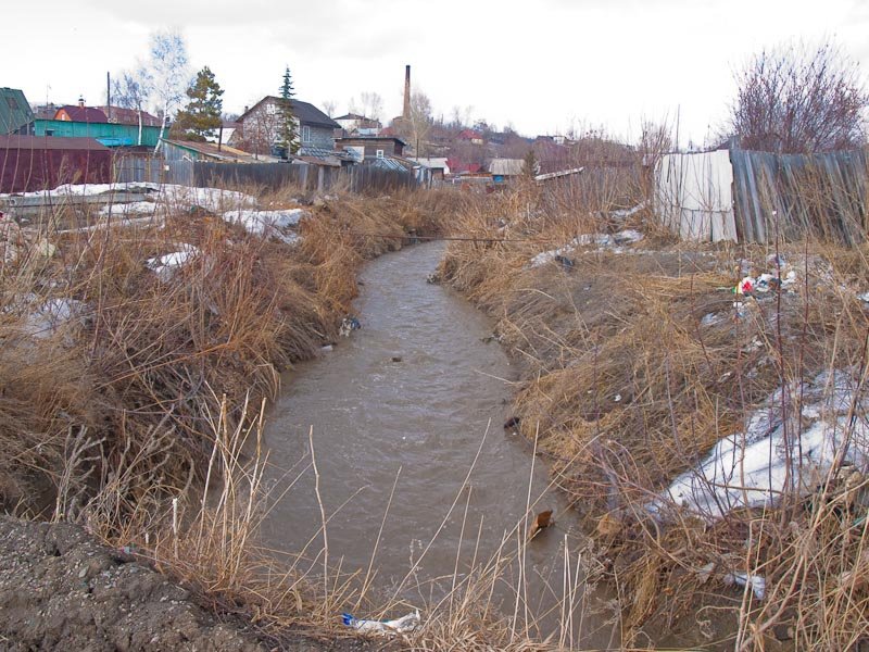 В Новосибирской области выявили экстремально высокий уровень загрязнения пресной воды