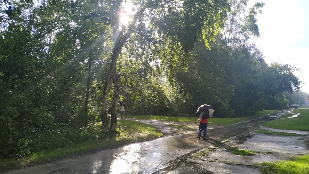 «Контрастная погода» с жарой, грозами и штормом ожидает Новосибирскую область