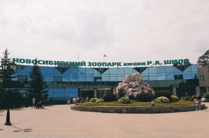 Пенсионеры смогут бесплатно посещать Новосибирский зоопарк