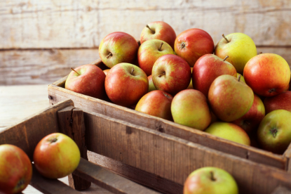 Пять способов сохранить яблоки на зиму