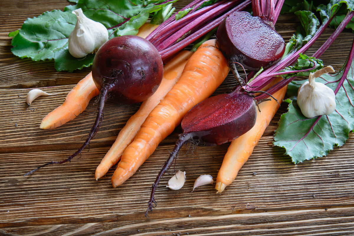 Как намного дольше сохранить в зимний сезон свеклу и морковь