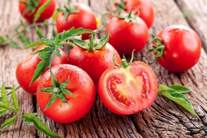 Как сразу же испортить рассаду томатов, или новые «дикие» советы «знатоков» из интернета