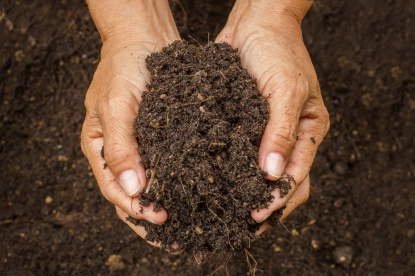 Восемь способов повысить плодородие почвы