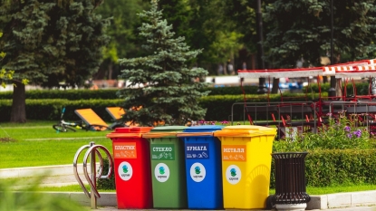 Более 900 новых контейнеров для раздельного сбора мусора появятся в Новосибирской области