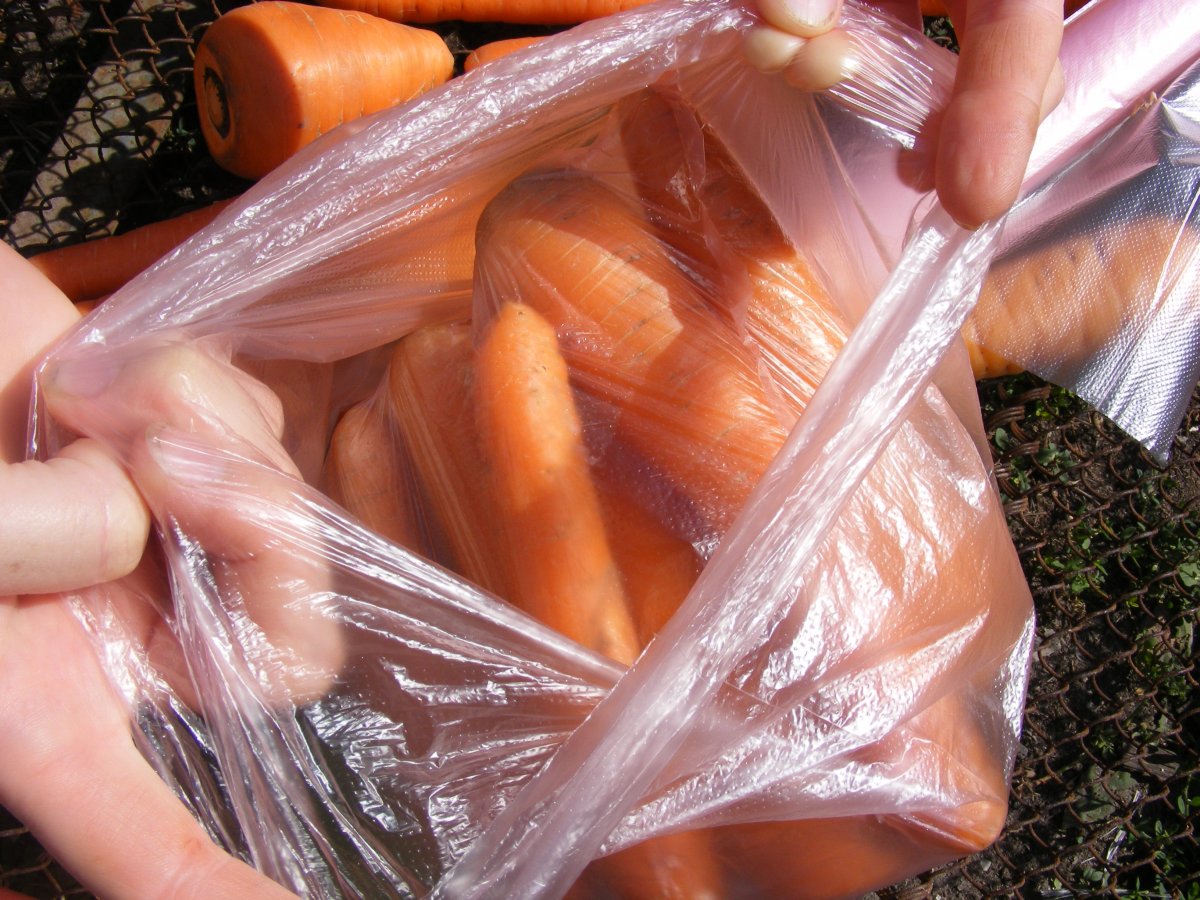 Процесс сохранения моркови проверен годами, очень прост и надежен