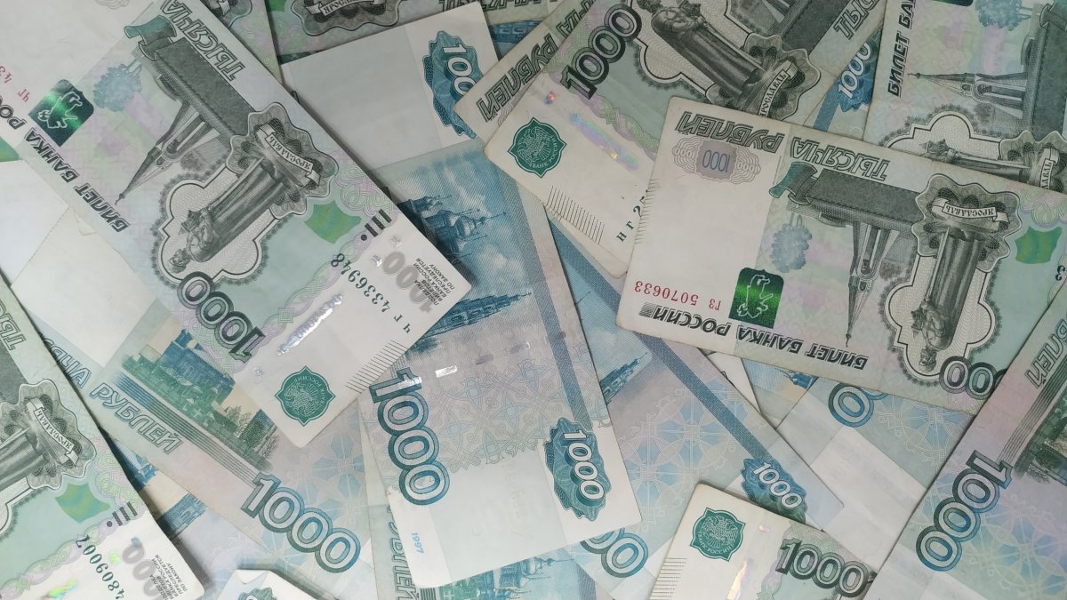 Бюджет Новосибирской области не досчитается собственных доходов в этом году