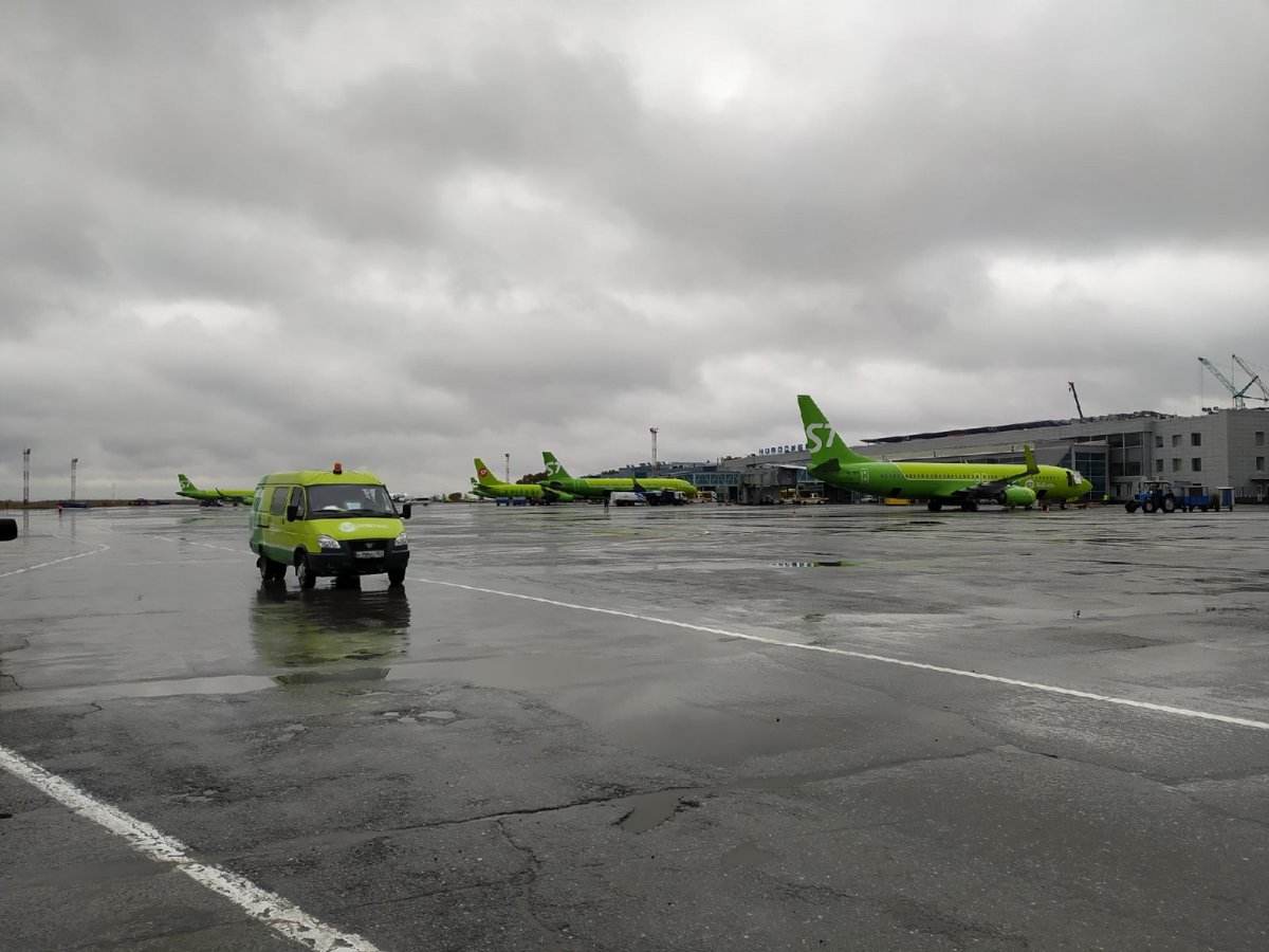 Авиабилеты из Москвы до Новосибирска из-за мобилизации выросли в цене в пять раз