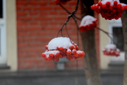 Первый снег в Новосибирской области ожидается в конце сентября