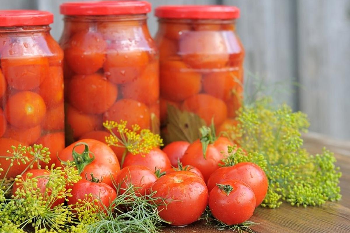 Хозяйки раскрывают секреты засолки томатов