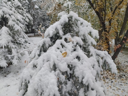 Первый снег выпал в Новосибирске 28 сентября