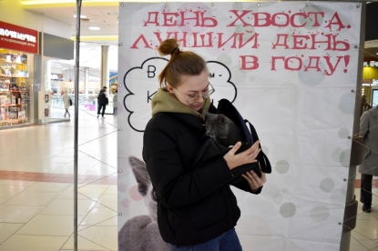 Семь хозяев на одного: новосибирцы встали в очередь за красивыми котятами из приюта