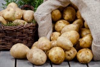 Новосибирские аграрии готовы выбрасывать выращенный картофель