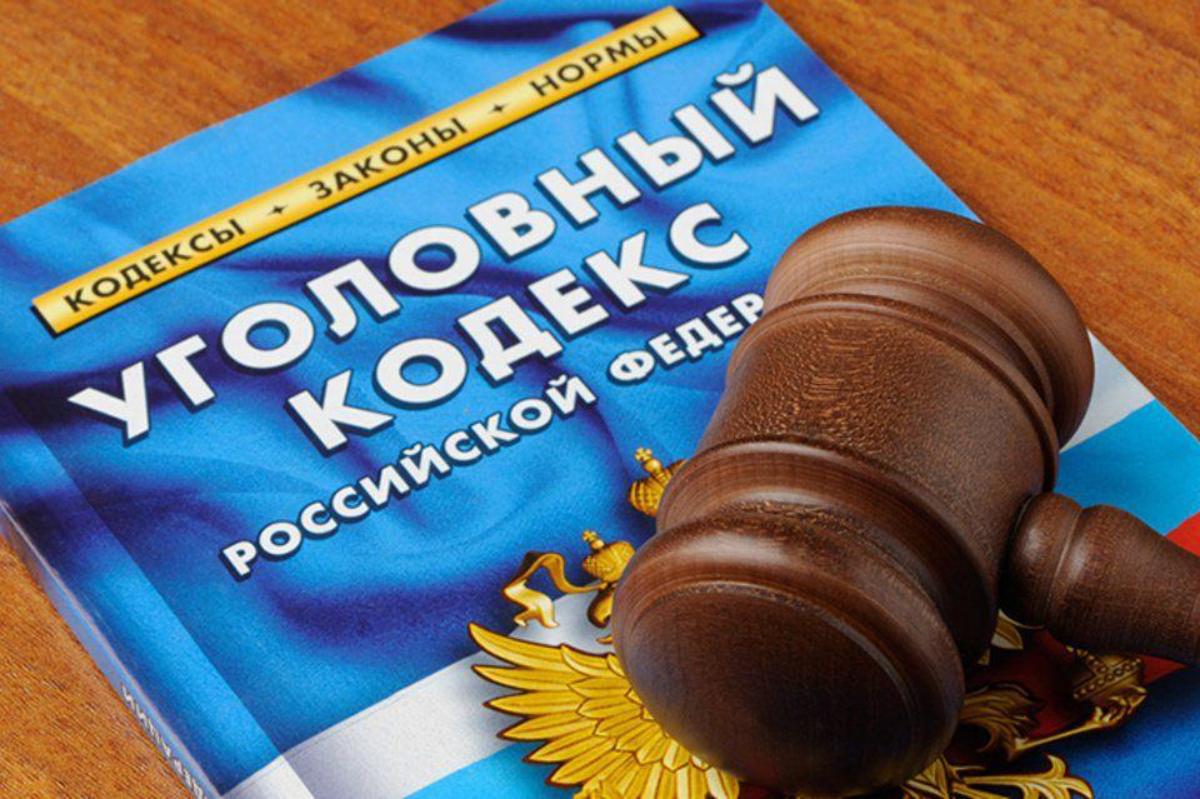 «Душил, наносил удары молотком по голове»: на скамью подсудимых сядет живодер из Новосибирска