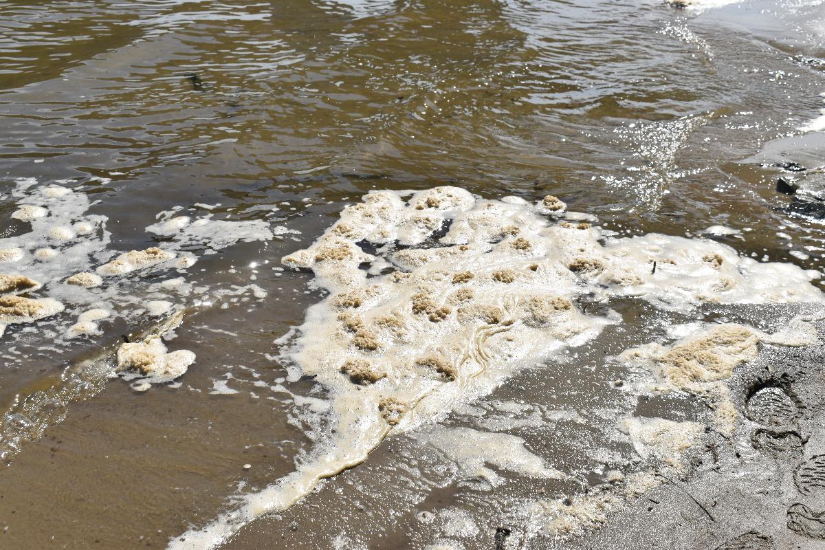 Новосибирская область вошла в пятерку регионов с самыми грязными водоемами