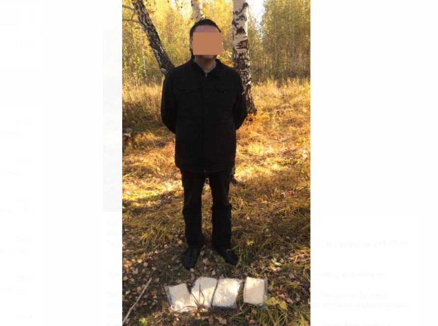 Организовавшего канал поставки зомби-наркотика томича задержали в Новосибирске