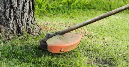 Как вылечить поврежденное газонокосилкой дерево