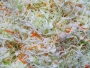 12 рецептов вкуснейших салатов из капусты на зиму