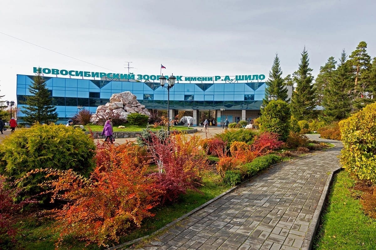 Мобилизованные могут бесплатно посетить новосибирский зоопарк
