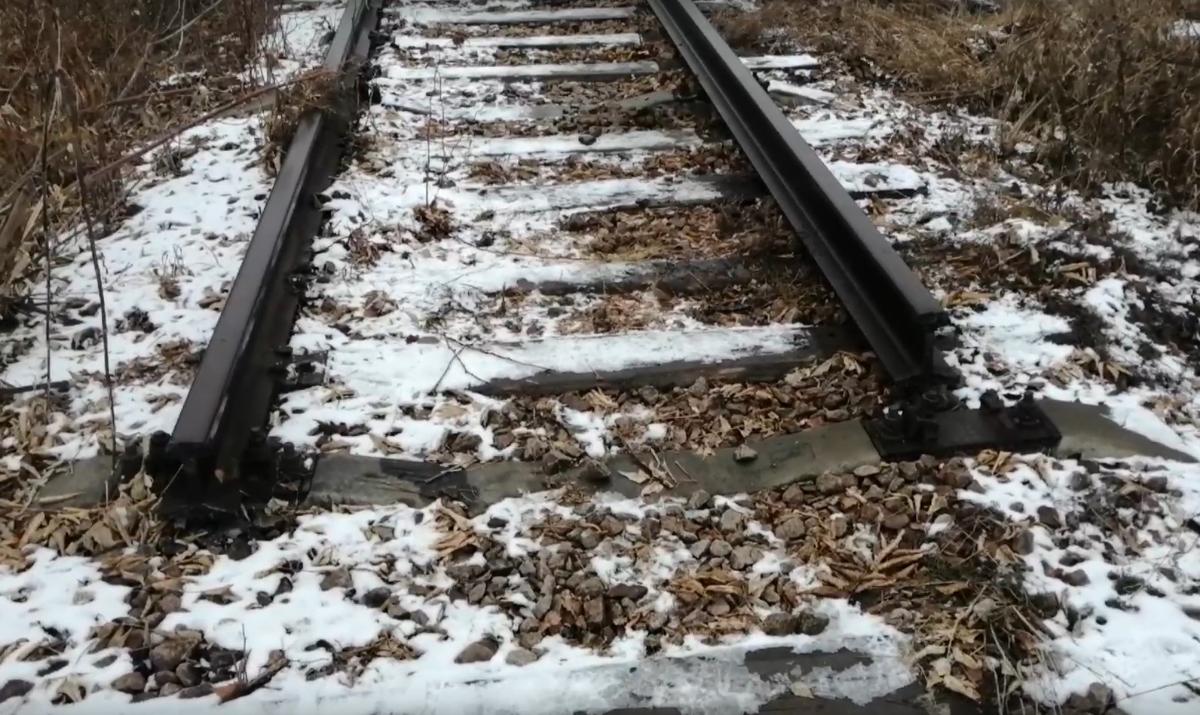 Военную железную дорогу распиливают на металлолом – новосибирцы обратились к Бастрыкину