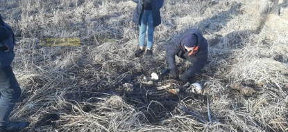 Скелет был найден в лесу под Новосибирском