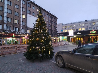 Первую новогоднюю елку установили в Новосибирске