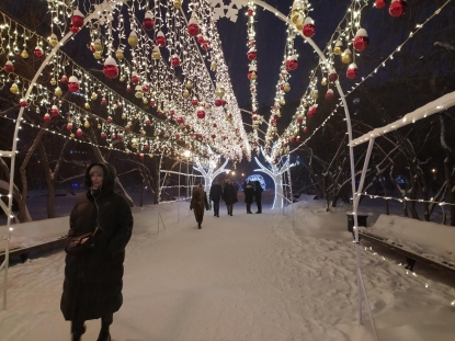 На празднование нового года в Новосибирске потратят 53 миллиона рублей