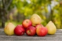 Российские садоводы просят запретить импорт молдавских «химических» яблок