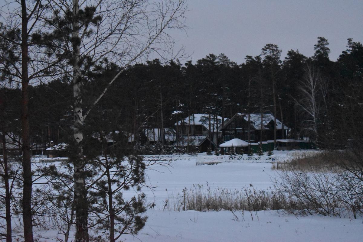 Шел в Академгородок и насмерть замерз мужчина в лесу под Бердском