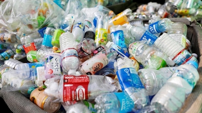 Российские ученые создали биоразлагаемый пластик из растительных отходов