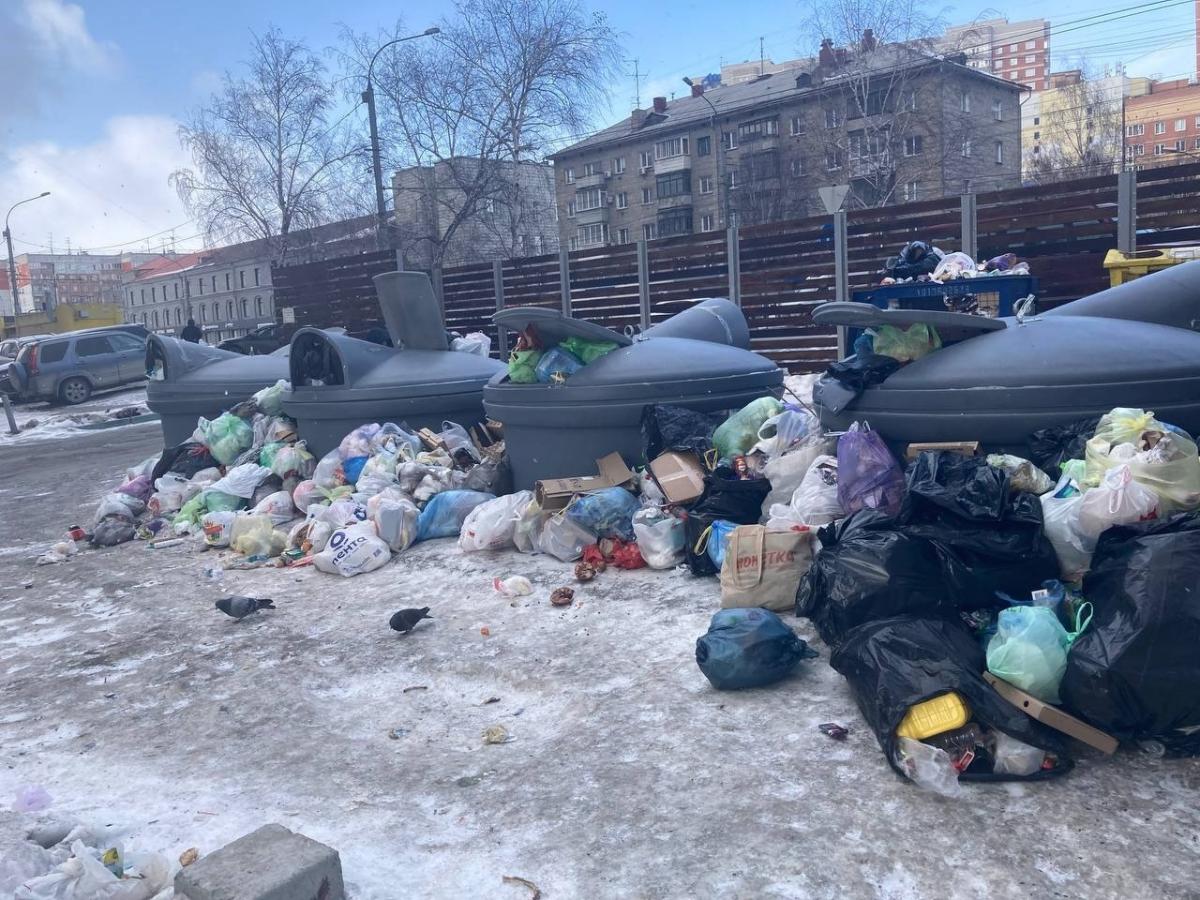 Двор в Новосибирске завалило мусором – проблему решают три месяца