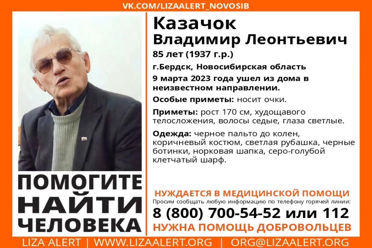 85-летний пенсионер пропал под Новосибирском