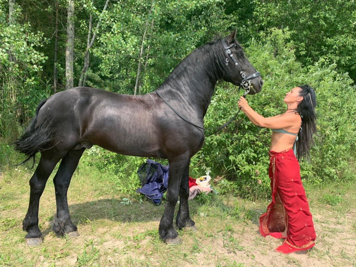 «Купим квадрокоптер или миноискатель»: новосибирцев зовут на фотосессию с вороным конем, чтобы помочь бойцам СВО