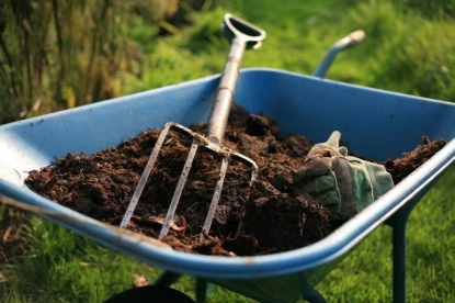 Про органику в огороде: почему она не усваивается, про нитраты, баланс и вредителей