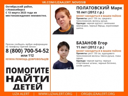 «Пошли гулять и пропали»: в Новосибирске три дня ищут двух школьников