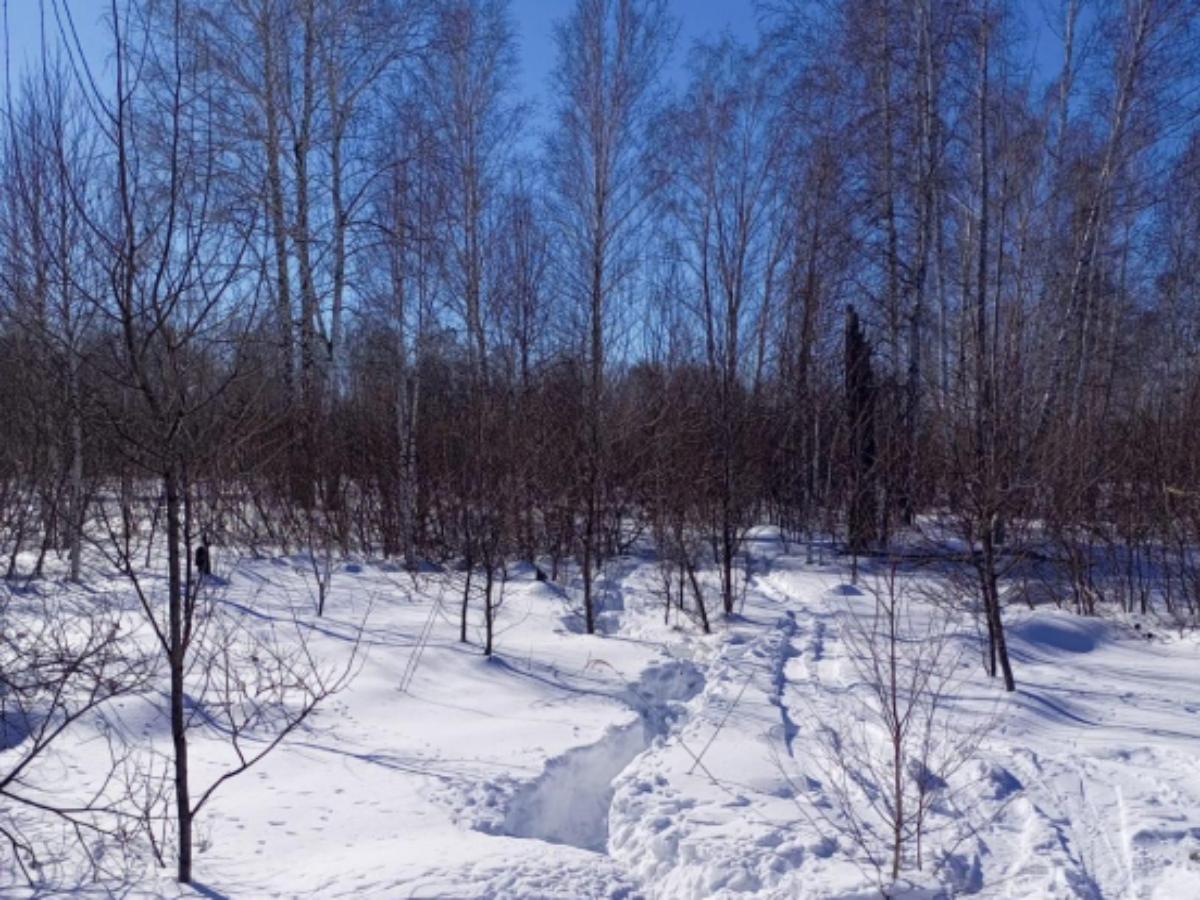 Лыжников-браконьеров задержали в Убинском районе полицейские за убийство двух косуль