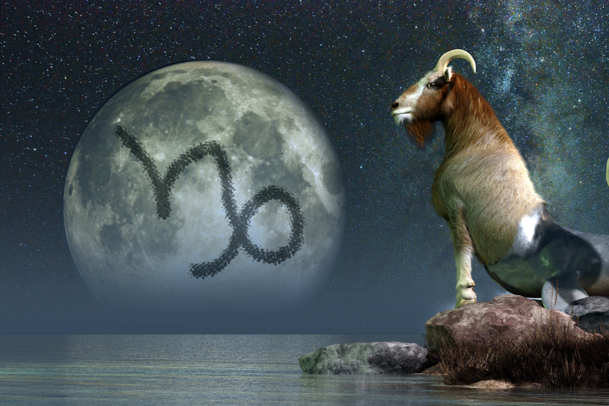 Какое животное соответствует вашему знаку зодиака?