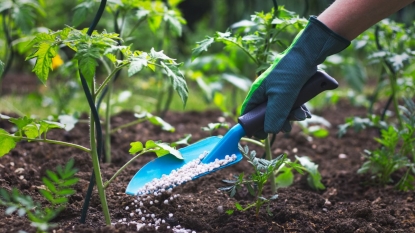 Обеспечьте уход за своими растениями: какие виды минеральных удобрений всегда нужны вашему огороду